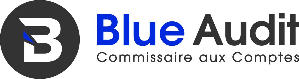 logo blue audit